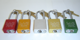 SafeTE Lockout Padlocks-22